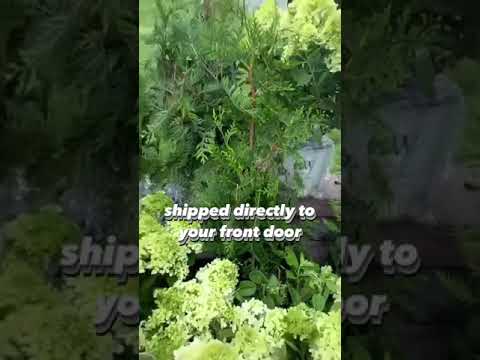 Your Landscape Shipped!