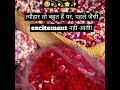 त्यौहार तो बहुत हैं पर, पहले जैसी excitement नहीं आती! #motivation #avadhojhasirmotivationforupsc