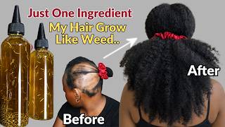 In Just 24 Hours This Rosemary Hair Growth Recipe Broke The Internet