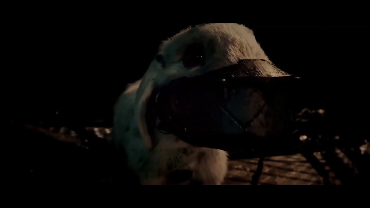 "Rocket, Teefs, Floor go now" Guardians of the Galaxy Vol. 3 YouTube