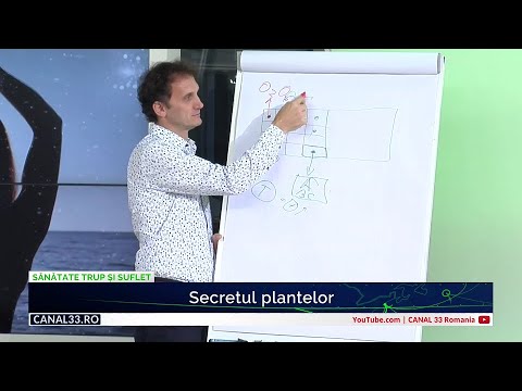 Video: Care este scopul venelor plantelor?