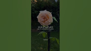{لَقَدْ كَانَ فِي قَصَصِهِمْ عِبْرَةٌ لِّأُولِي الْأَلْبَابِ ۗ } [يوسف : 111]القارئ عبدالرحمن مسعد