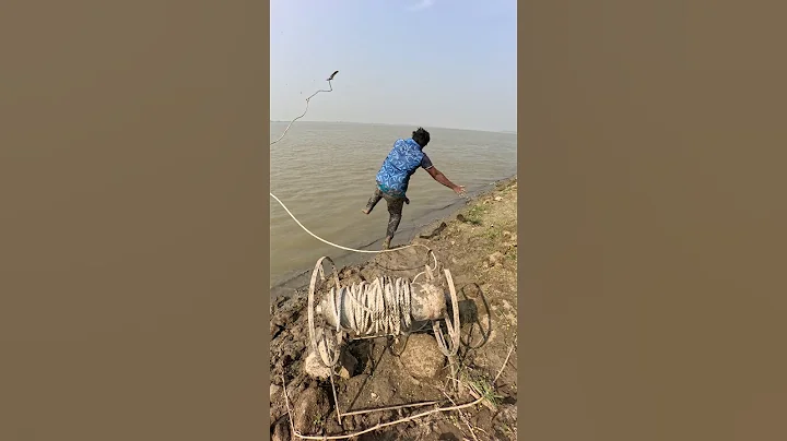 Beautiful tasty catfish bait throwing in river by hook yarn  #fishing  #bait  #shorts