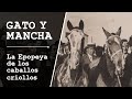 GATO Y MANCHA - LA EPOPEYA DE LOS CABALLOS CRIOLLOS