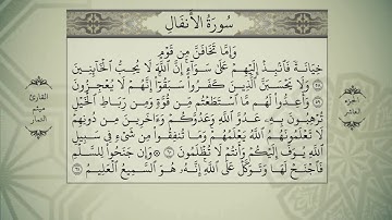 القرآن الكريم - الجزء العاشر -سورة الانفال - سورة التوبة - بصوت القارئ ميثم التمار - QURAN JUZ 10