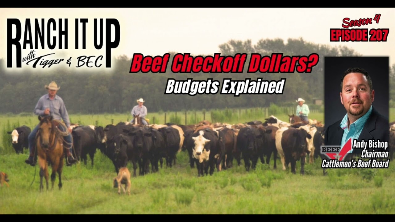 How Are Beef Checkoff Dollars Spent & Cattle News