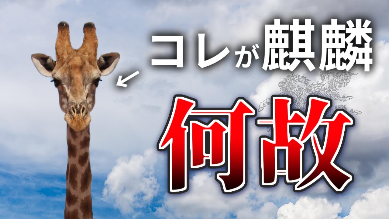 【前編】なぜこの間抜け面が、霊獣麒麟を名乗っているのか【疑問】