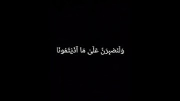 سورة إبراهيم الآية 12 - محمد صديق المنشاوي.