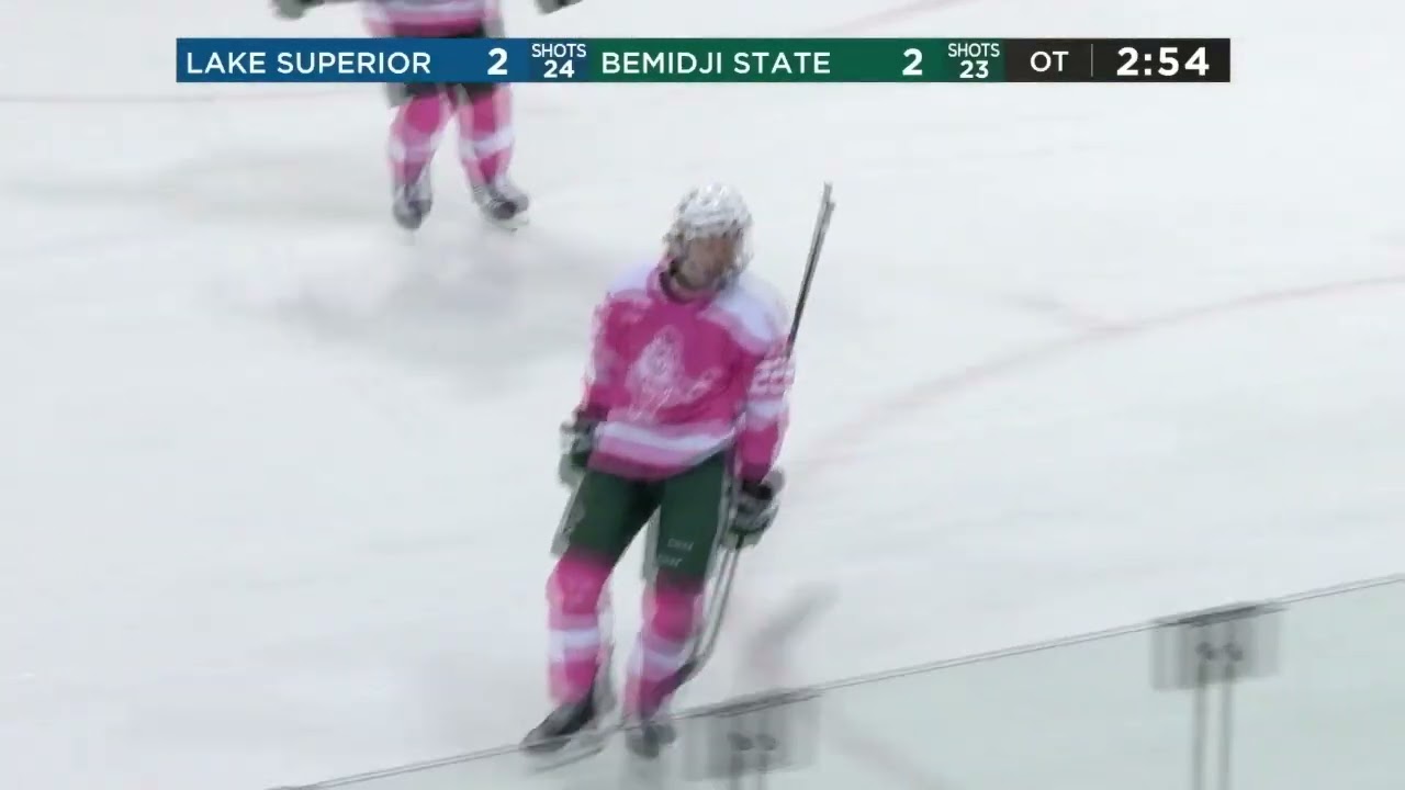 2025-26 All-CCHA First Team