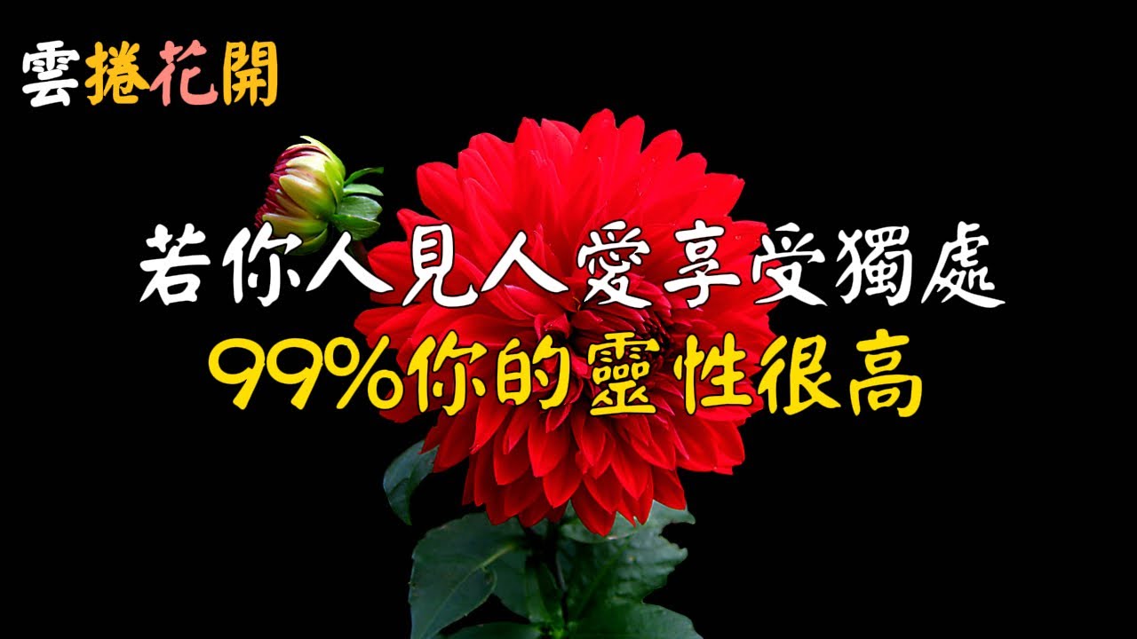 準備揚升：消除焦慮、切斷與他人的負能量連結，透過情緒反應找出負面信念