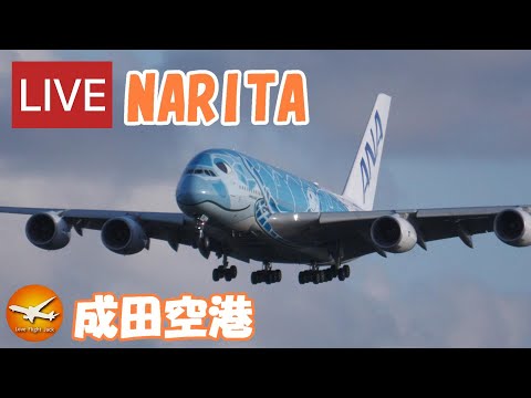 🔴LIVE at NARITA International Airport Plane Spotting 2023.02.18 成田空港ライブカメラ 成田空港 NRT/RJAA