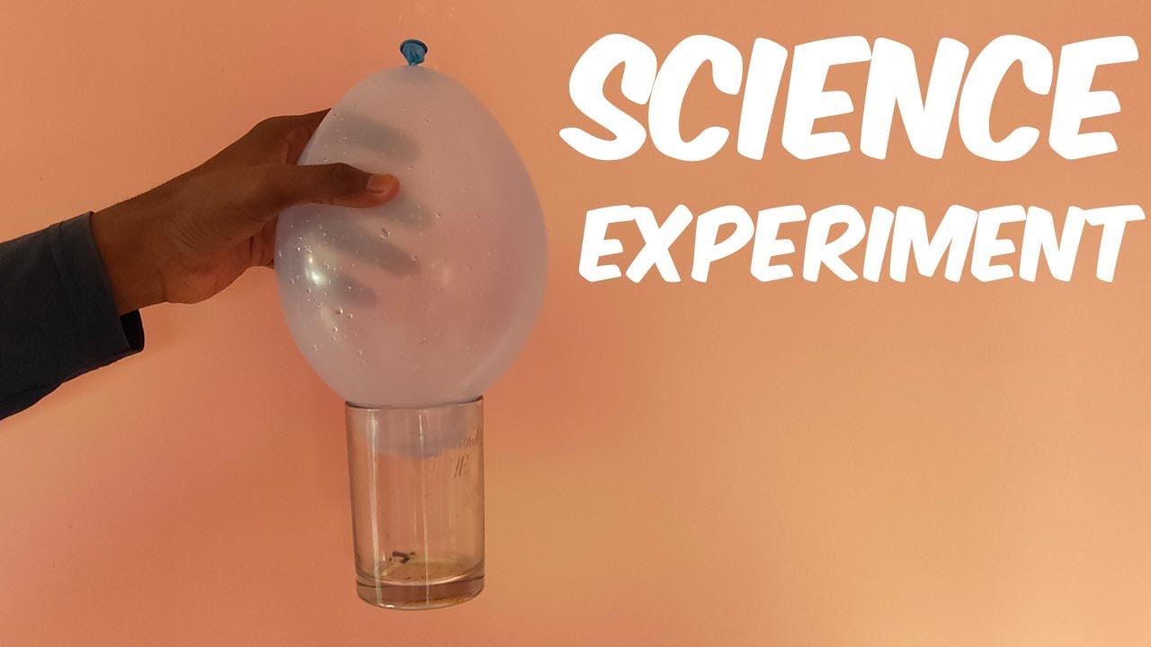 ⁣Get Your Science On - Experiments For School! | Simple Science Project | Do It Yourself