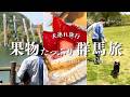 【犬連れ旅行群馬水上観光】赤谷湖鯉のぼり&モギトーレ&道の駅あぐりーむ昭和まで愛犬とのんびりドライブVlog 1泊2日わんこ旅3/3 2026.4