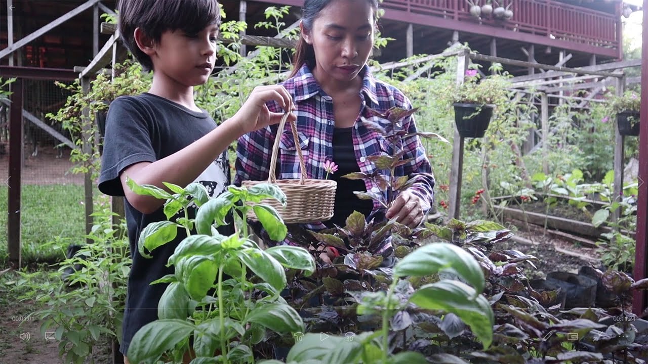 PANEN Basil, Bikin PIZZA Pertama kali pakai tungku di HUTAN II Pizza asal jadi hehehe