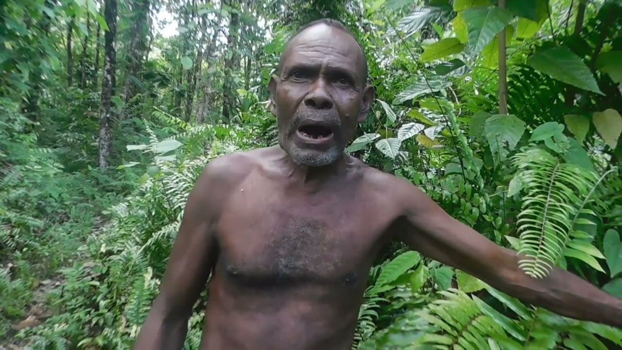 Toothache Pain? This Village Herb Might Help | John Happer – Big Gela