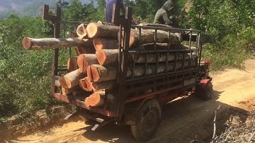Xe công nông độ chở gỗ xà cừ lên đồi xuống dốc cực khỏe..!