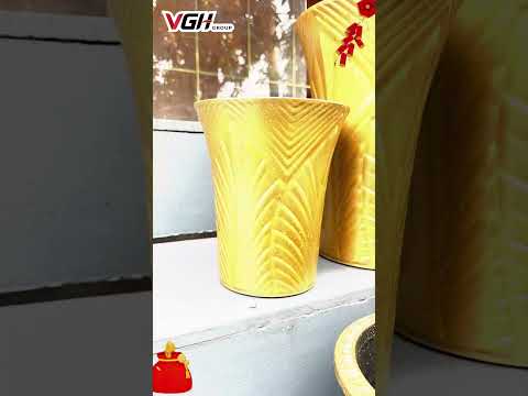 🧧 CHẬU NHỰA TRỒNG C&Acirc;Y V&Agrave;NG ĐỒNG - CHO M&Agrave;U TẾT SANG TRỌNG  Volga VN | VGH GROUP✨
