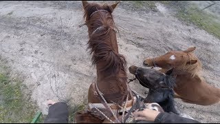 Opening A Wire Gate Horseback (While Ponying Two Colts)