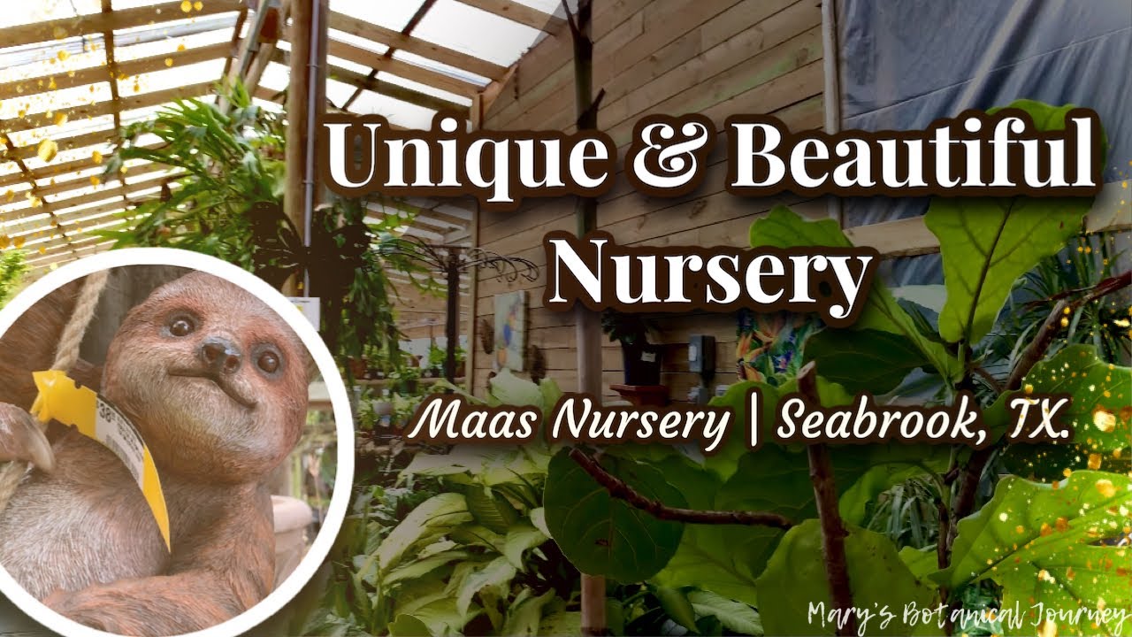Beautiful Plant Nursery Tour Maas Nursery Seabrook, TX. YouTube