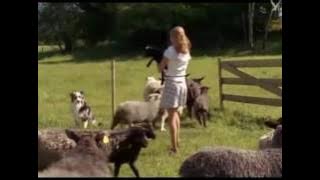 Inga Lindström ie Farm am Mälarsee