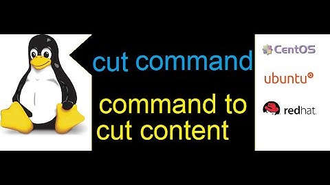 Master Linux in Minutes: Uncover the Power of the "Cut" Command!