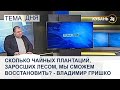 Сколько чайных плантаций, заросших лесом, мы сможем восстановить? - Владимир Гришко