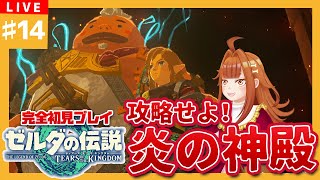 【 #ゼルダの伝説TotK】#14 🔥攻略せよ！炎の神殿！！🔥【御主むむ】