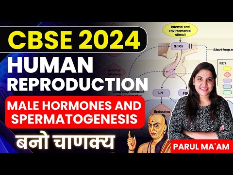 CBSE 2024 | Human Reproduction | Male Hormones and Spermatogenesis With PYQs | PARUL MAM
