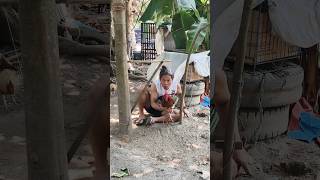 short goodvibes youtubeshorts youtube youtube