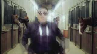 Gangnam Style - Remix - Psmix Part 3 Party Rock Anthem Mash