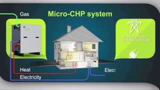 Micro Combined Heat and Power