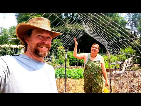 Complete FAILURES in the Garden Turned into Success! Gothic Arch Installation