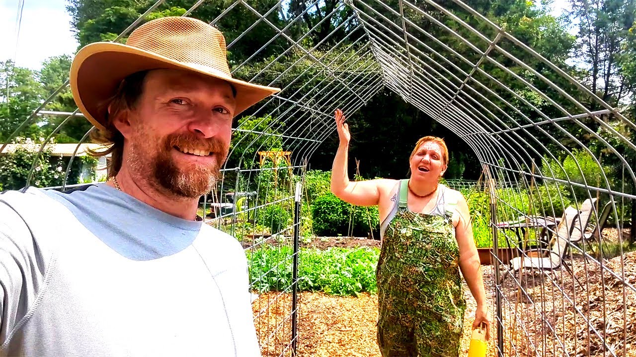 Complete FAILURES in the Garden Turned into Success! Gothic Arch ...