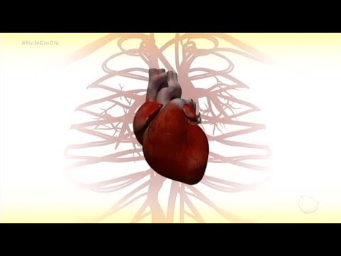 Vídeo: 7 Doenças Do Sistema Circulatório: Sintomas, Riscos E Muito Mais