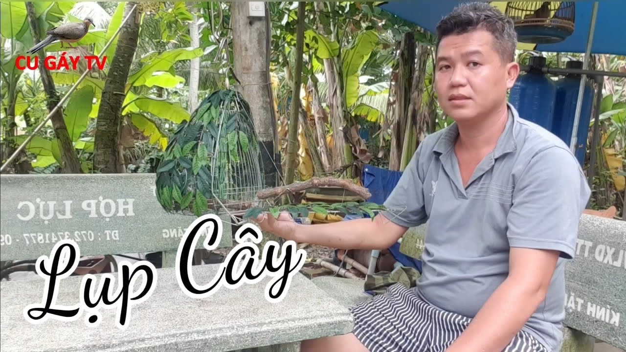 Lụp Cây Thép Điện Lực | Quá Rẻ !