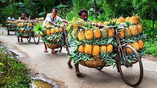 Fábrica de procesamiento de producción de piña, jugo de piña, piña enlatada,cómo hacer jarabe de uva