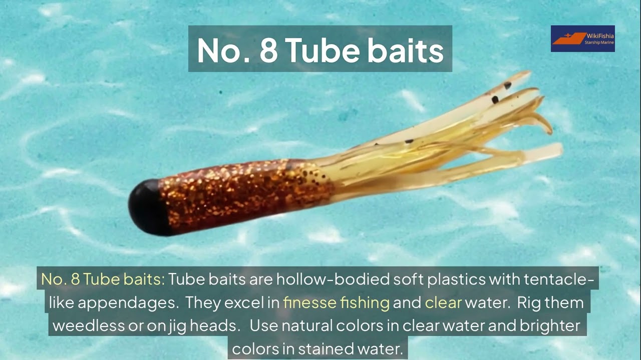 Top 10 Best Bass Fishing Lures for Beginners (Complete Guide + Q&A)