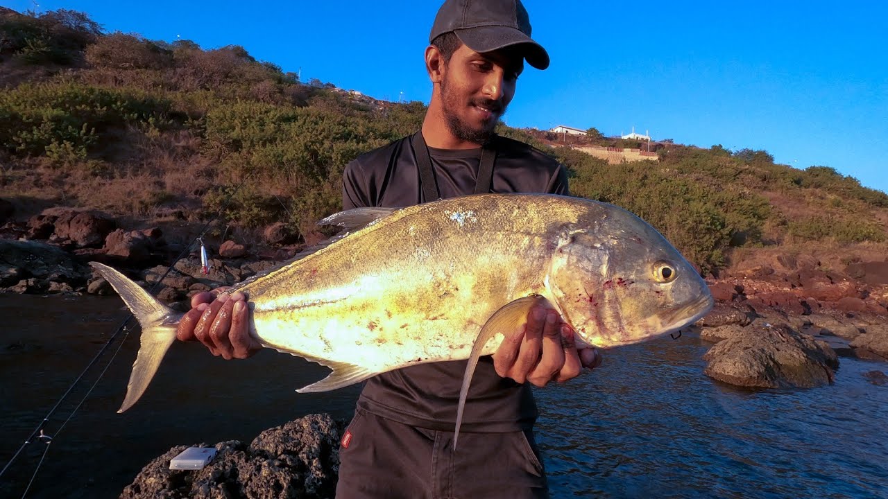 My first massive Travelly off the rocks 