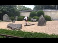 Raking the Japanese Garden of Contemplation at Hamilton Gardens