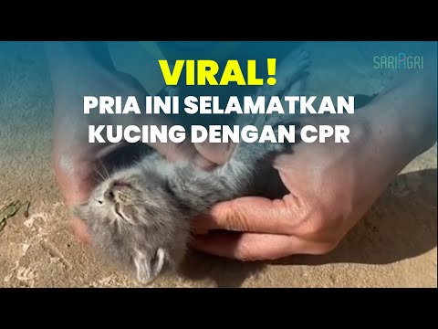 Video: Cara Merawat Depresi Anjing