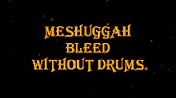Meshuggah - Bleed 116 bpm drumless