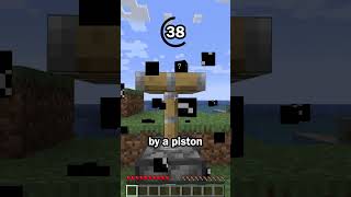 Guess the Minecraft block in 60 seconds 19