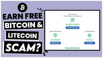 Whalesmining.com Review: (SCAM Or LEGIT?) & Will you get Paid Or Not?