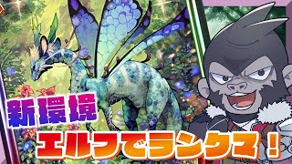 【#シャドウバース/RSL】アディショナル実装！エルフでランクマ！【Vtuber/グレイ・アダムス】