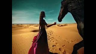 Sting - Desert Rose (Dj Lan Haydarov & Dj Smoke Dub Mix)