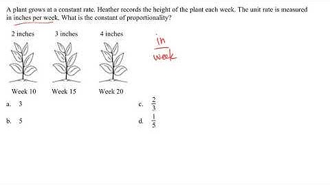 Finding the constant rate