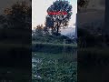 #frm #imadol #satisfyingvideo