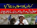 Hailstorm Devastates Wheat Crops in Muzaffargarh, Farmers Face Heavy Losses | News Update | Rohi