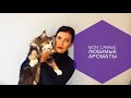 Мои самые любимые ароматы♥️Топ ароматов.Парфюмерные покупки🛍Ароматы которые повторила.Парфюм.Духи🎁