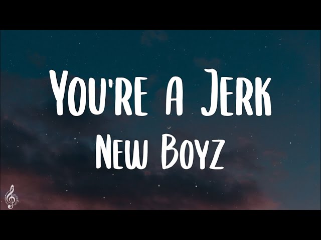 New Boyz - You're A Jerk (Lyrics) | TikTok Song class=